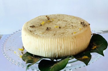 Formaggio elicriso e finocchietto 