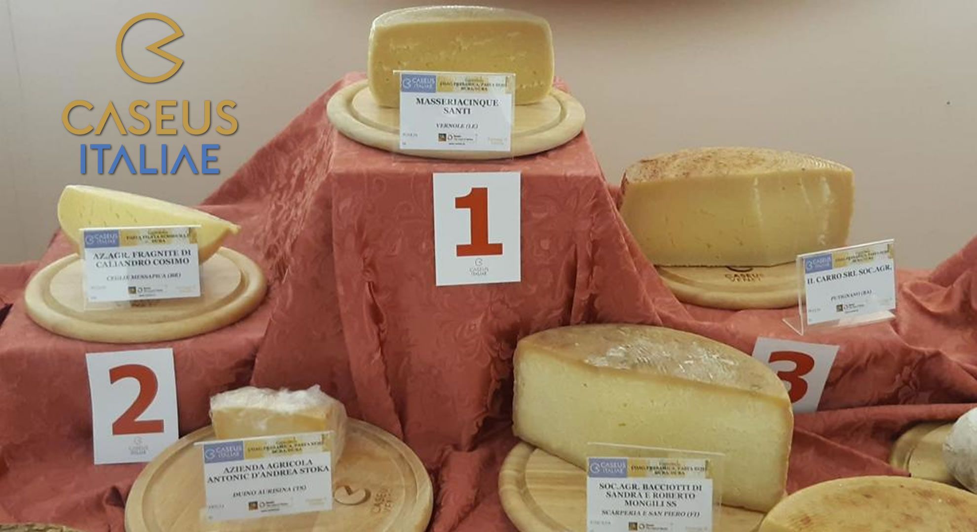 caseus italia